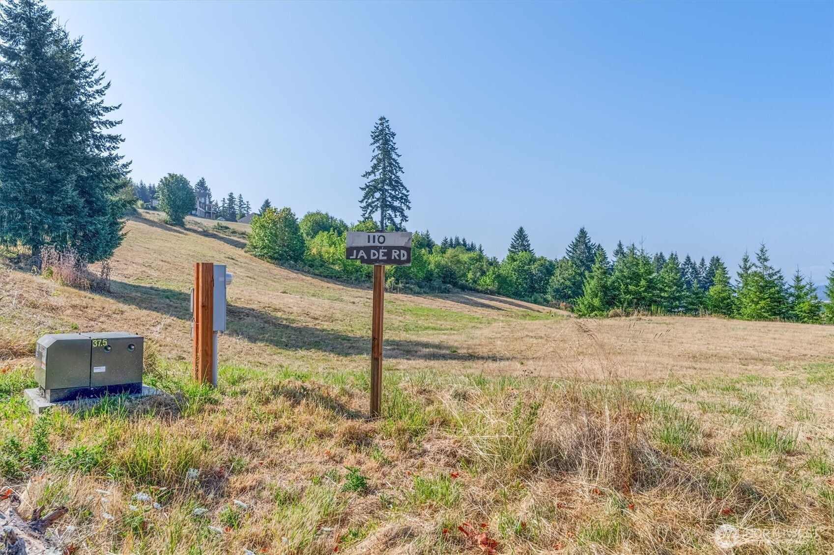 110 Jade Road Woodland, WA 98674 - Photo 7 of 32 a backyard of a house with lots of green space