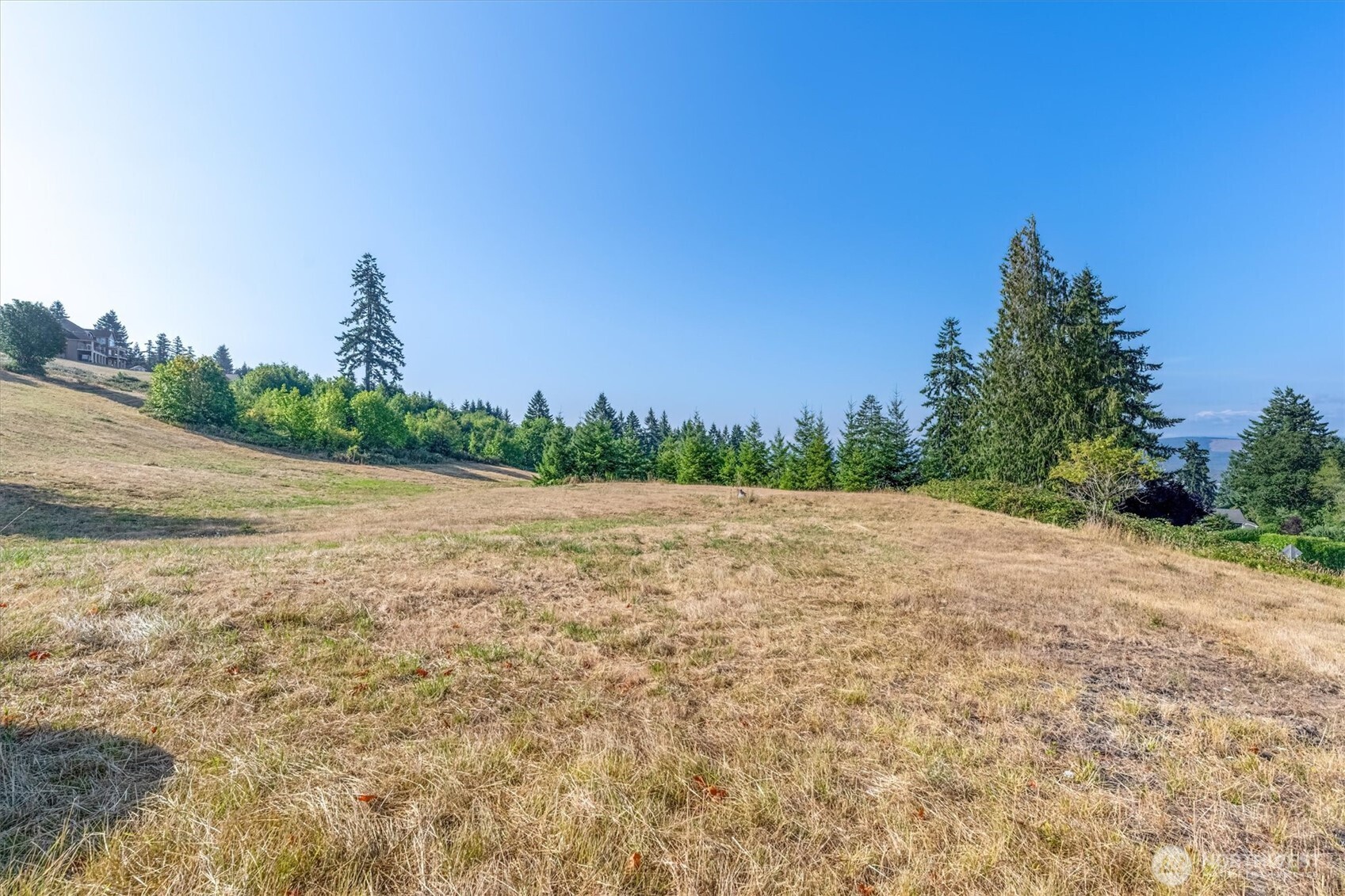 110 Jade Road Woodland, WA 98674 - Photo 8 of 32 a backyard of a house with lots of green space