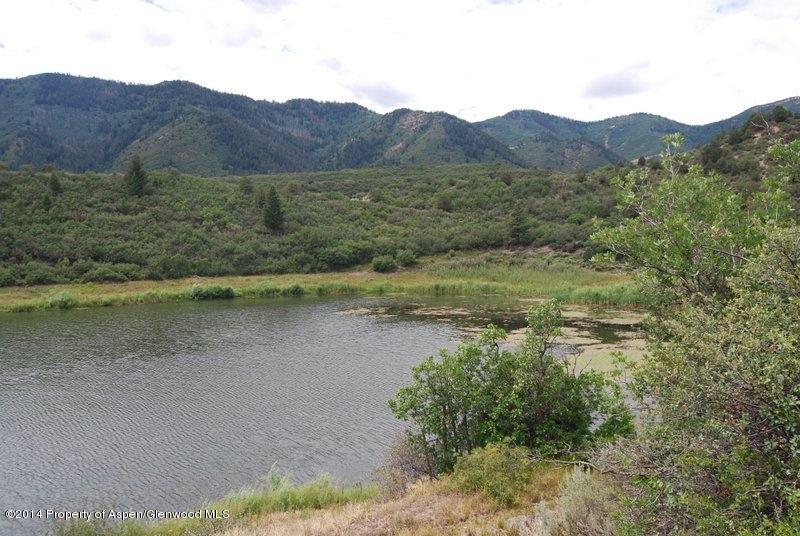 8175 County Road 252 Rifle, CO 81650 - Photo 3 of 39 a view of a lake in middle of forest