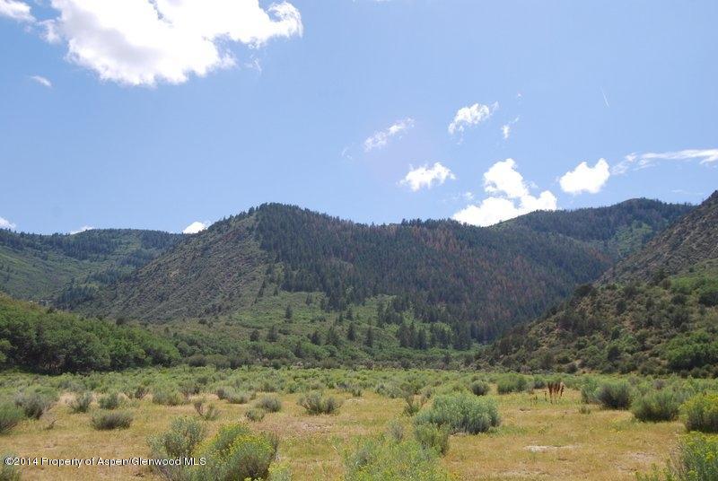 8175 County Road 252 Rifle, CO 81650 - Photo 34 of 39 a view of a lake in middle of the forest