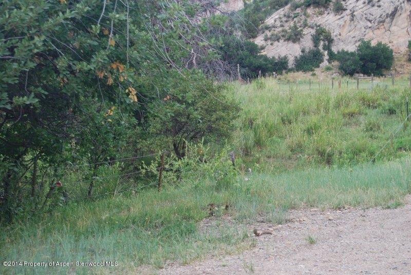 8175 County Road 252 Rifle, CO 81650 - Photo 36 of 39 a view of a lush green forest with a house