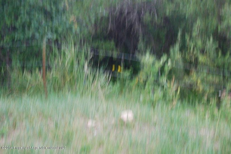 8175 County Road 252 Rifle, CO 81650 - Photo 38 of 39 a view of a garden
