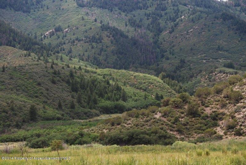 8175 County Road 252 Rifle, CO 81650 - Photo 8 of 39 a view of a yard with green space and fog