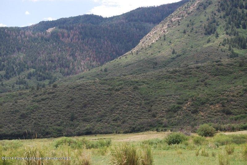 8175 County Road 252 Rifle, CO 81650 - Photo 9 of 39 a view of a dry yard