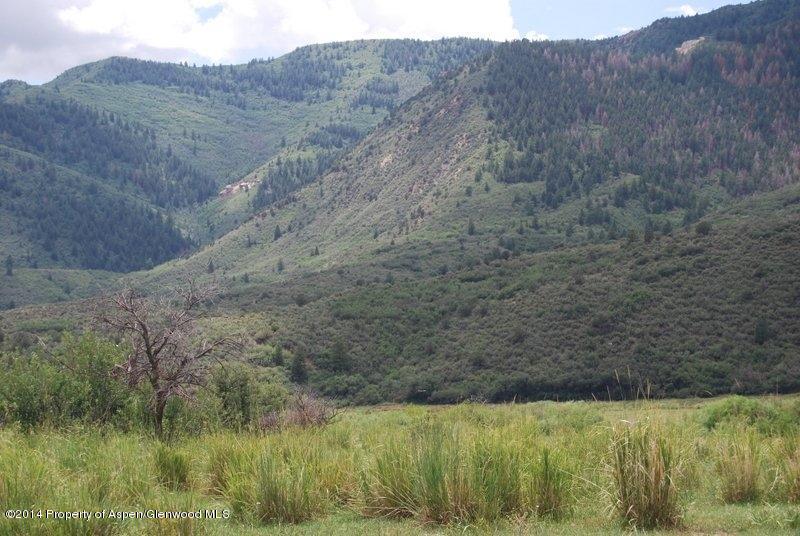 8175 County Road 252 Rifle, CO 81650 - Photo 10 of 39 a view of a lake in middle of forest