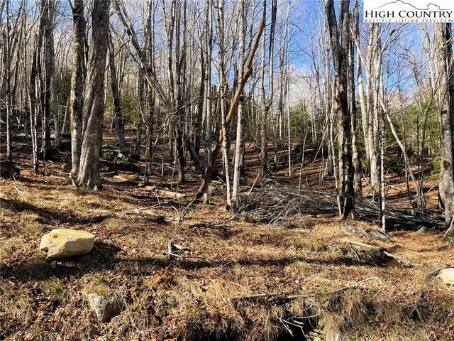 $25,000 | 135 Lakeledge Road, Beech Mountain, NC 28604