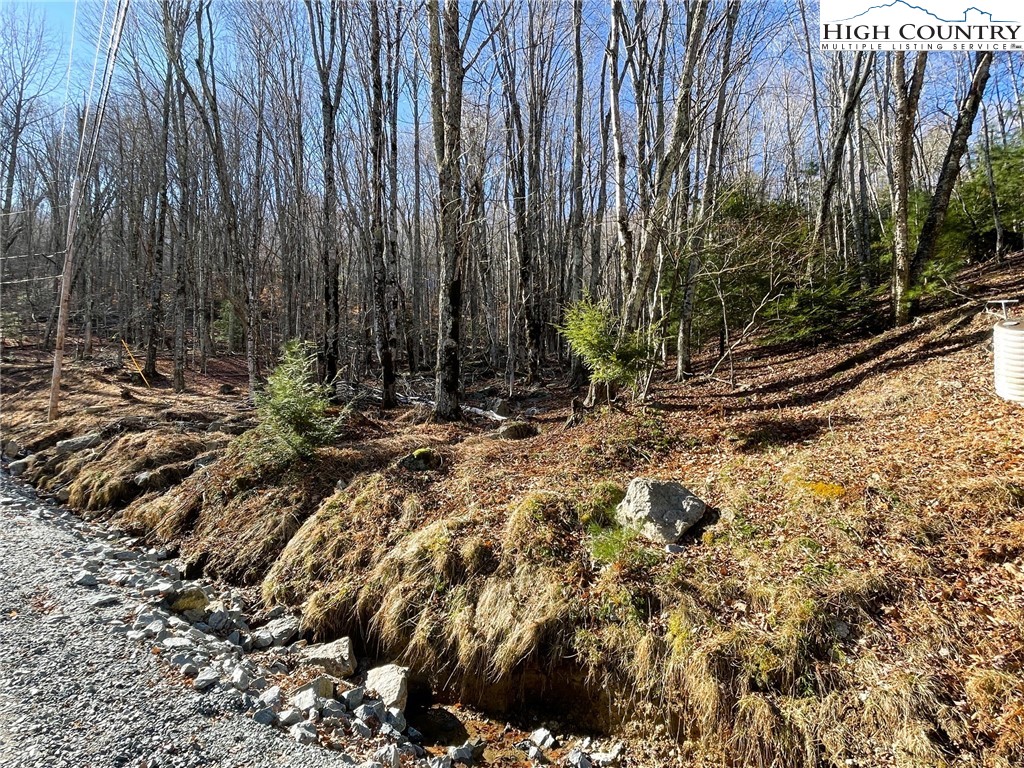 135 Lakeledge Road Beech Mountain, NC 28604 - Photo 2 of 4 a view of a backyard with plants and trees