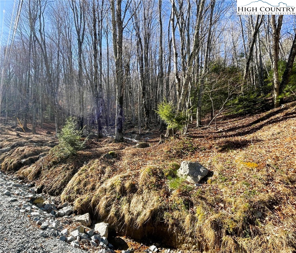 135 Lakeledge Road Beech Mountain, NC 28604 - Photo 3 of 4