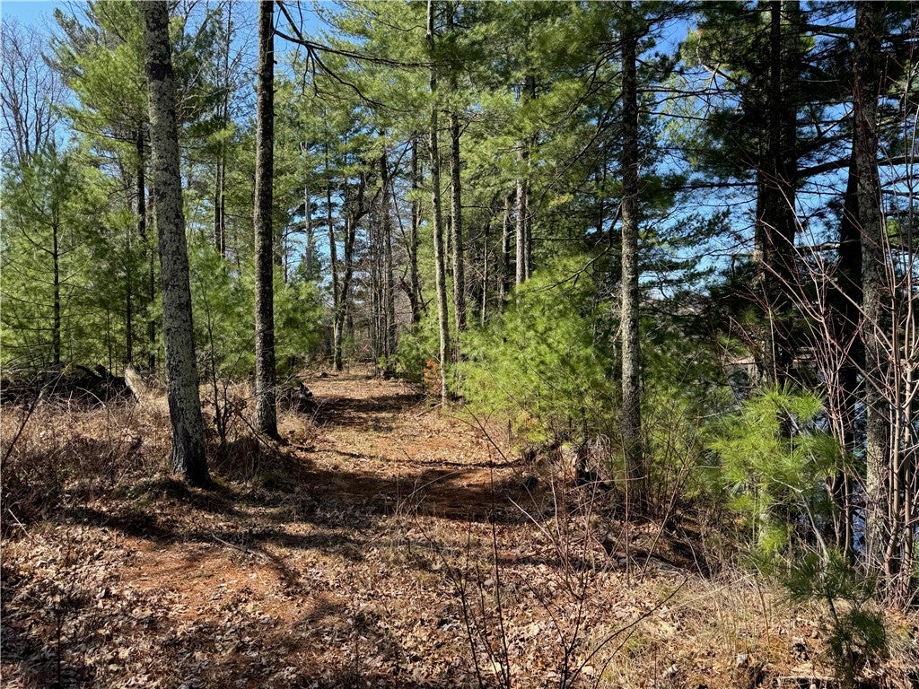 Lot 1 Gurno Lake Road Hayward, WI 54843 - Photo 15 of 29 Gallery Image 15