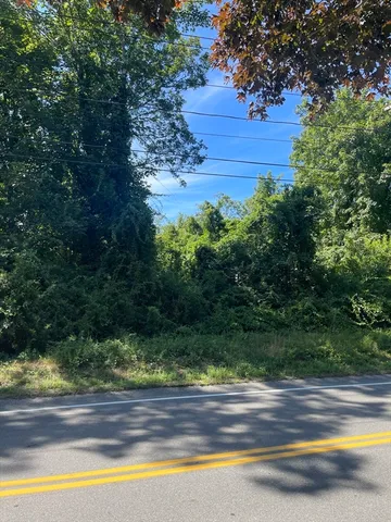 a view of a yard with a large tree