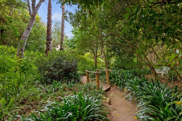 a view of a garden with a bench