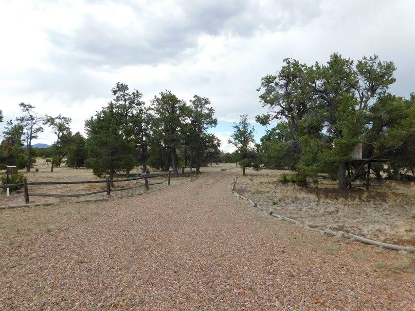 246 Spring Canyon Road Quemado, NM 87829 - Photo 16 of 21 Gallery Image 16