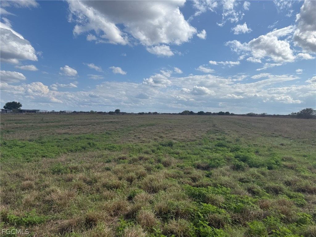 5355 3rd Road LaBelle, FL 33935 - Photo 5 of 10