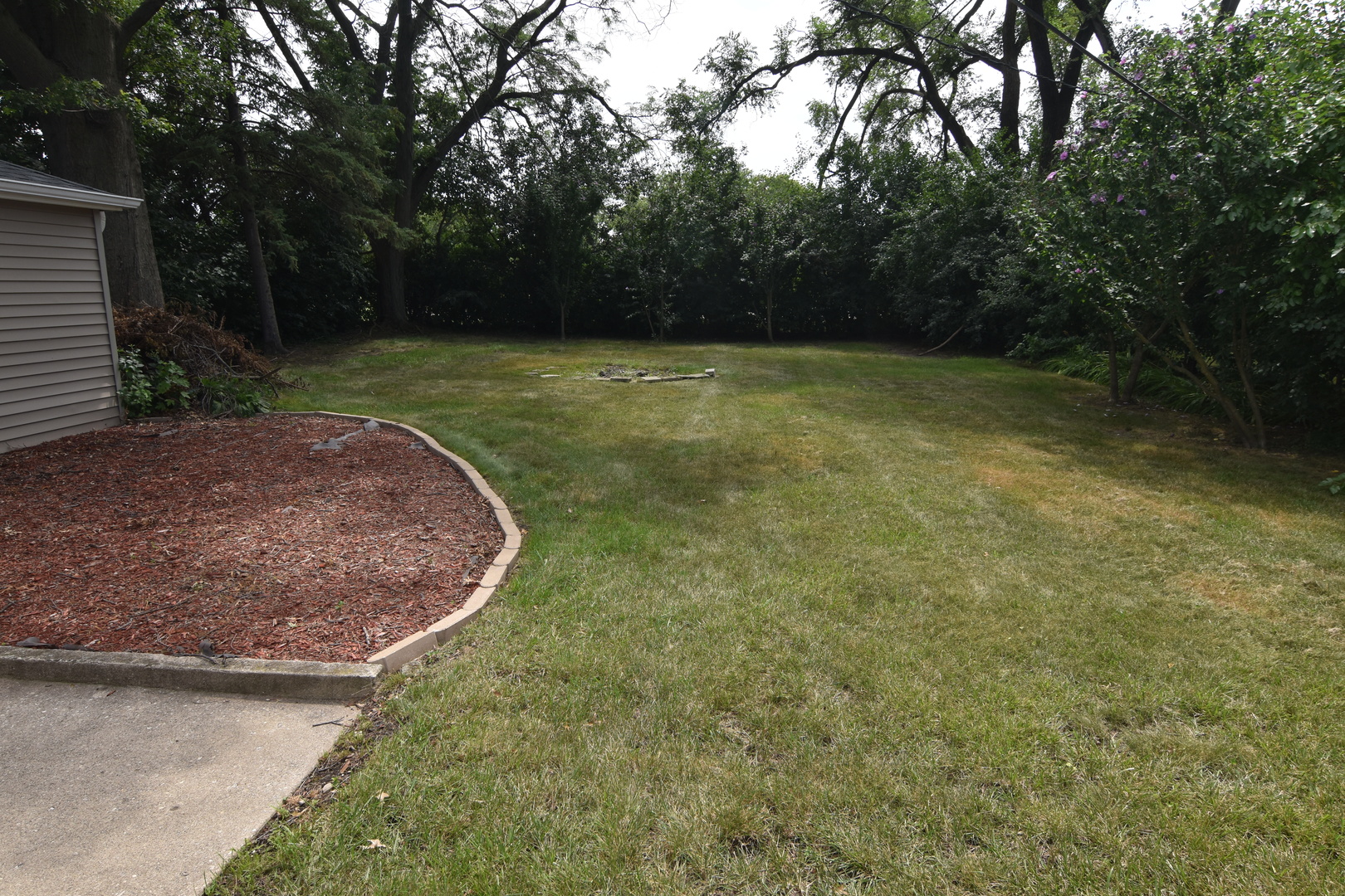 317 Mohawk Street Park Forest, IL 60466 - Photo 15 of 20 a view of a backyard with green space