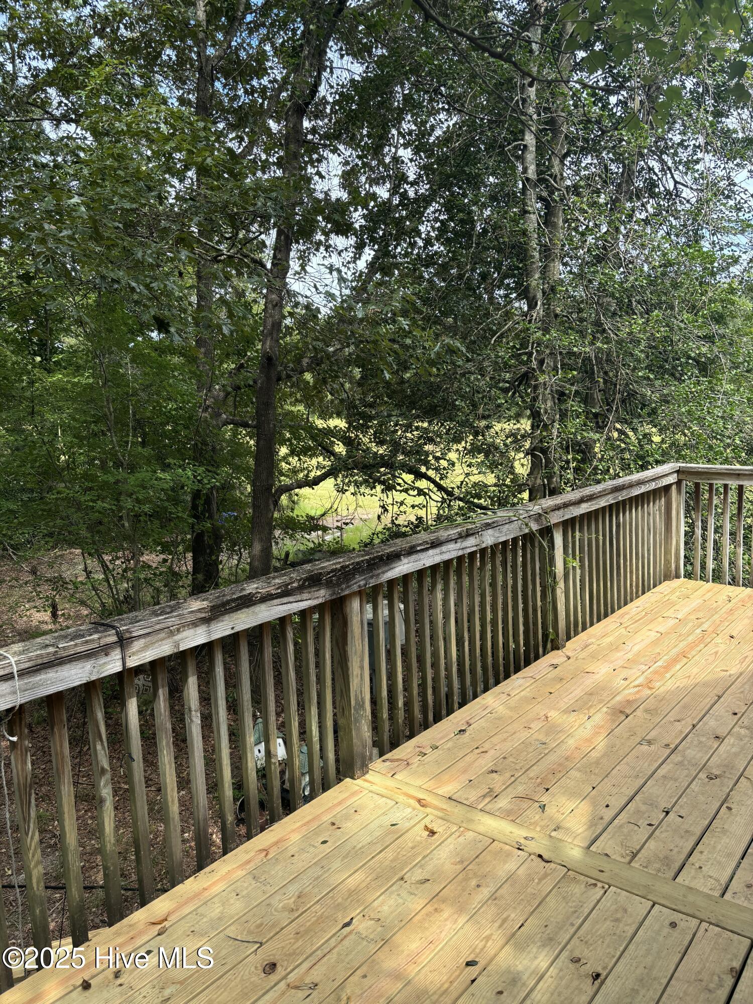 5369 Dilda Church Road Fountain, NC 27829 - Photo 21 of 46 IMG_1979