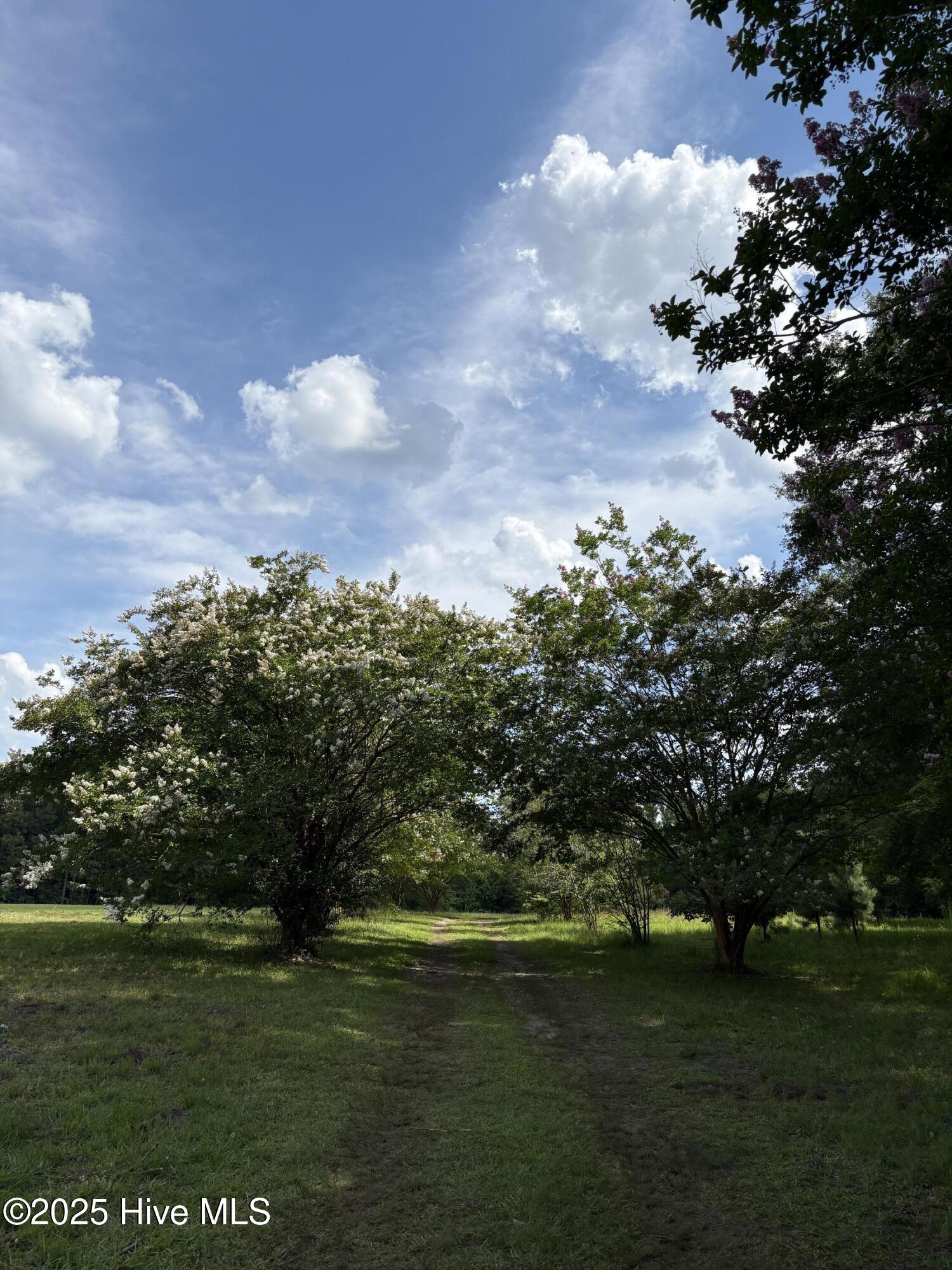 5369 Dilda Church Road Fountain, NC 27829 - Photo 38 of 46 Property