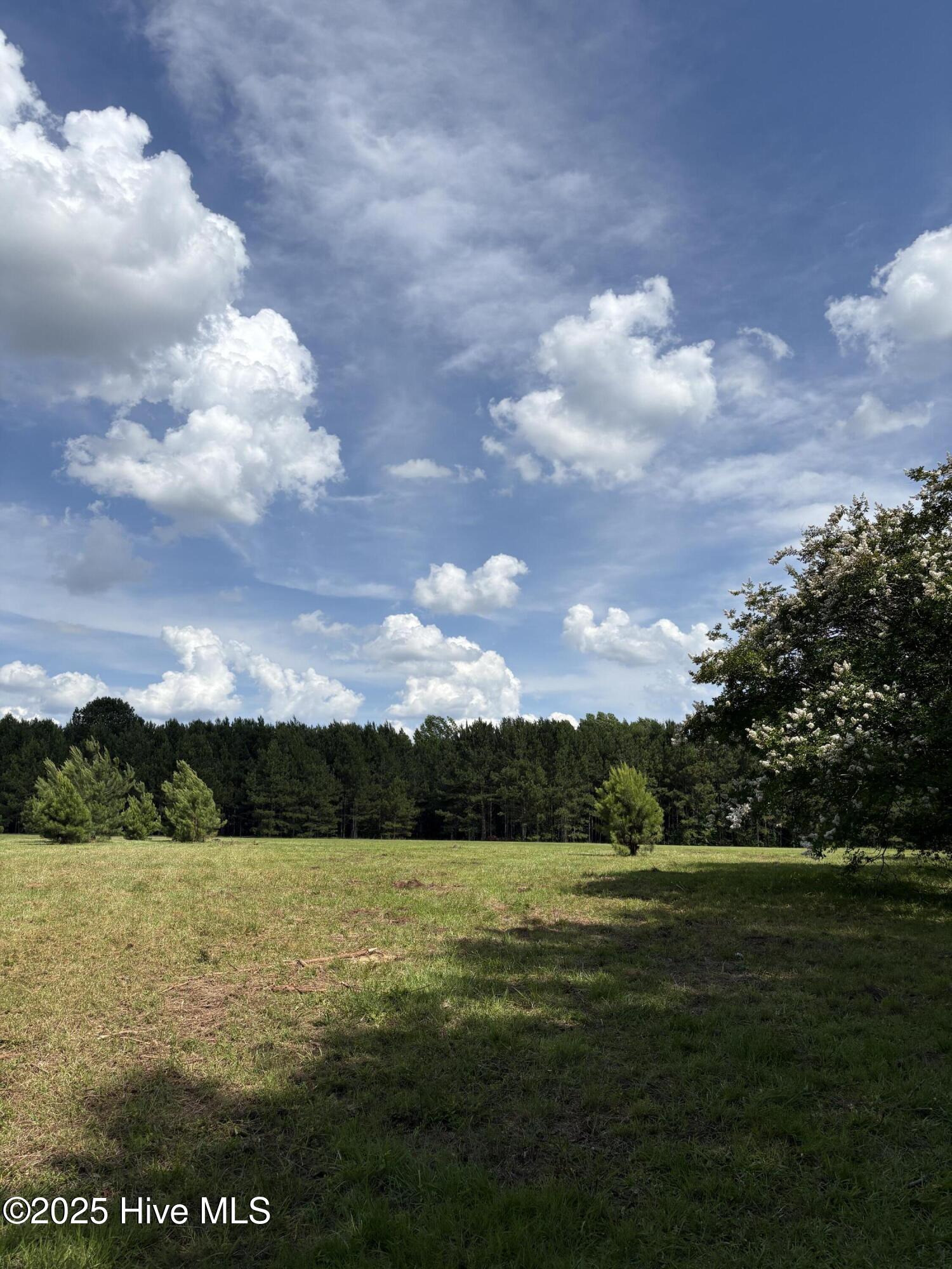 5369 Dilda Church Road Fountain, NC 27829 - Photo 39 of 46 Property