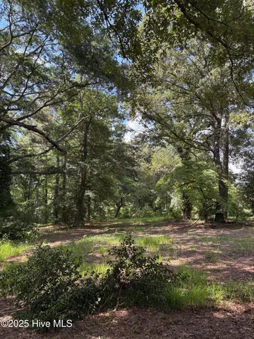 $846,000 | 5369 Dilda Church Road, Fountain, NC 27829