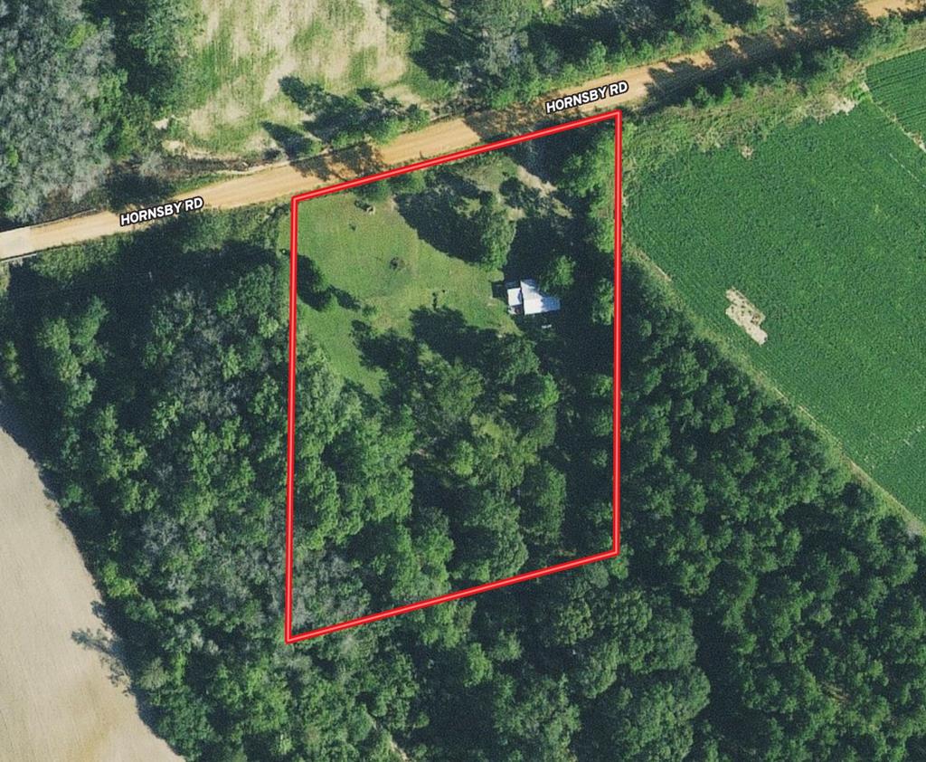 1531 Hornsby Road Samson, AL 36477 - Photo 9 of 41