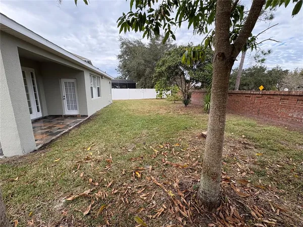 a view of a backyard
