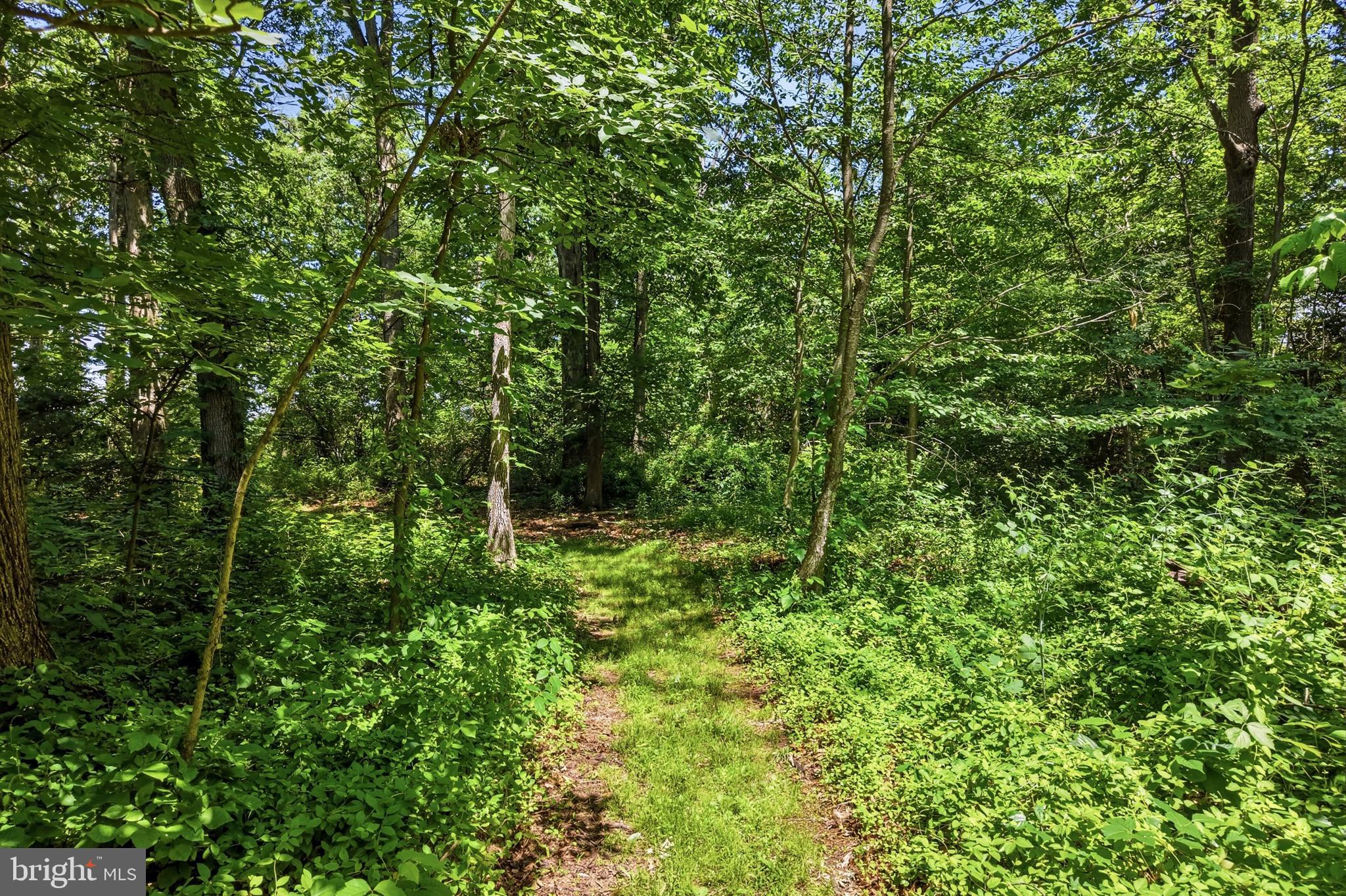 486 Derstine Road Hatfield, PA 19440 - Photo 48 of 53 a view of a lush green forest