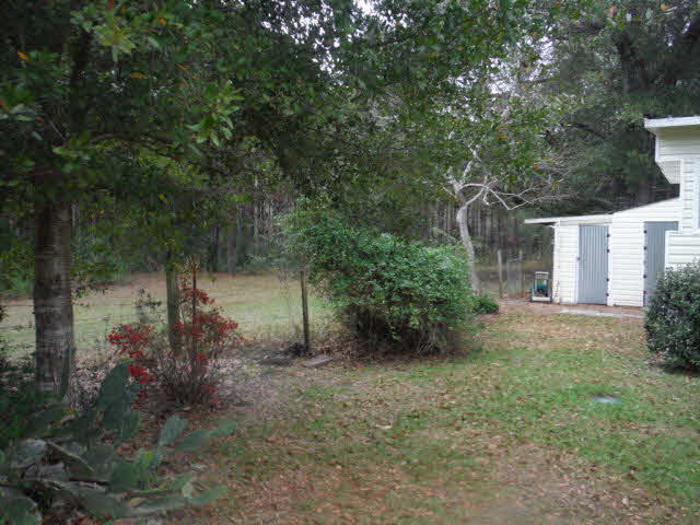 1220 Chagrin Drive Lillian, AL 36549 - Photo 15 of 22 Back yard