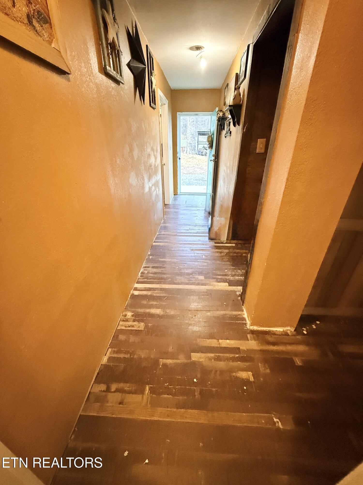 586 Rugby Highway Robbins, TN 37852 - Photo 21 of 59 IMG_5774