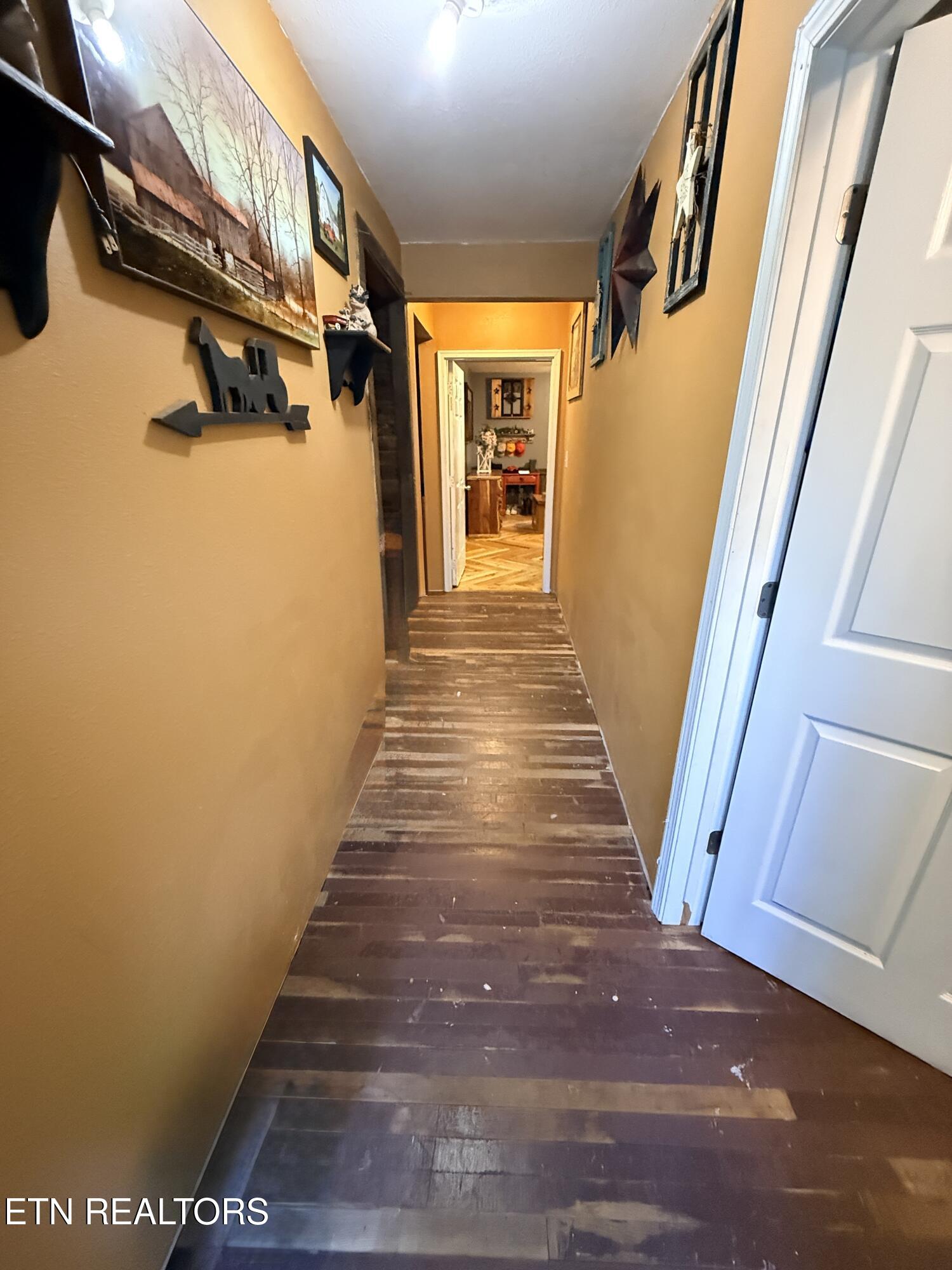 586 Rugby Highway Robbins, TN 37852 - Photo 22 of 59 IMG_5773