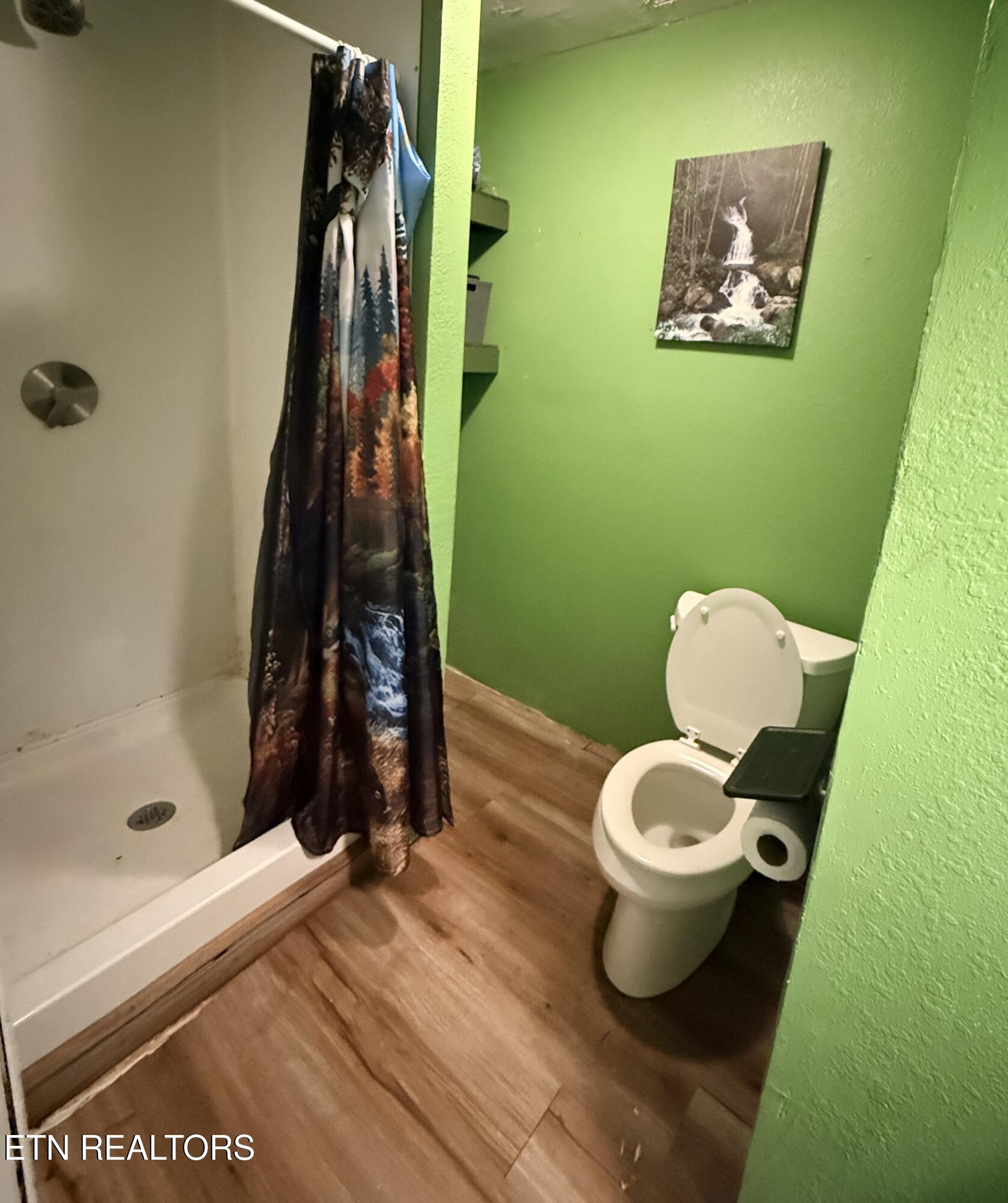 586 Rugby Highway Robbins, TN 37852 - Photo 37 of 59 IMG_5762