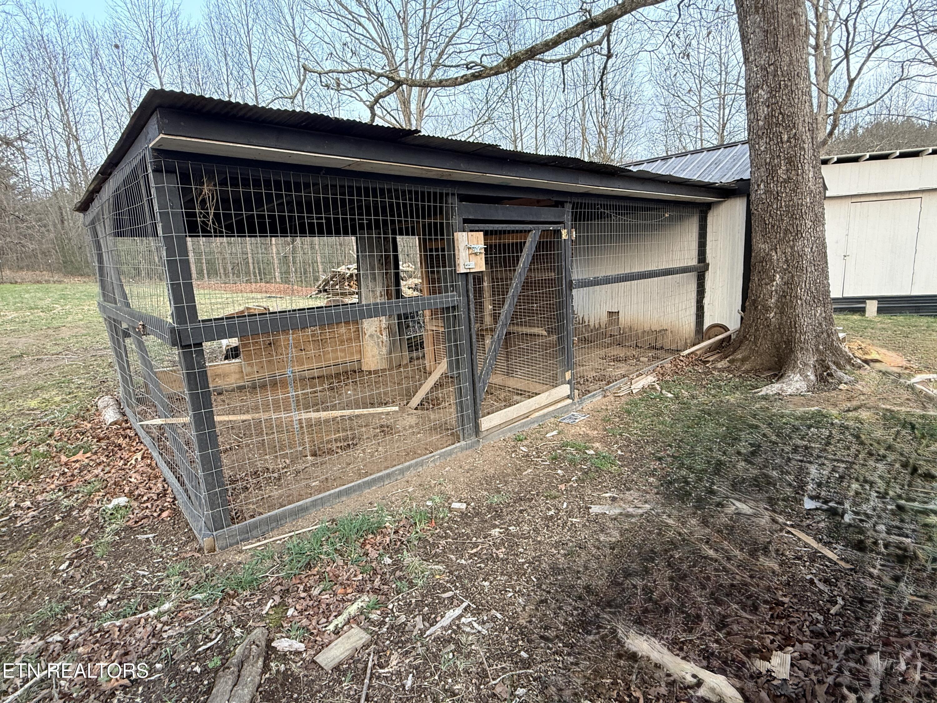 586 Rugby Highway Robbins, TN 37852 - Photo 43 of 45 IMG_5748
