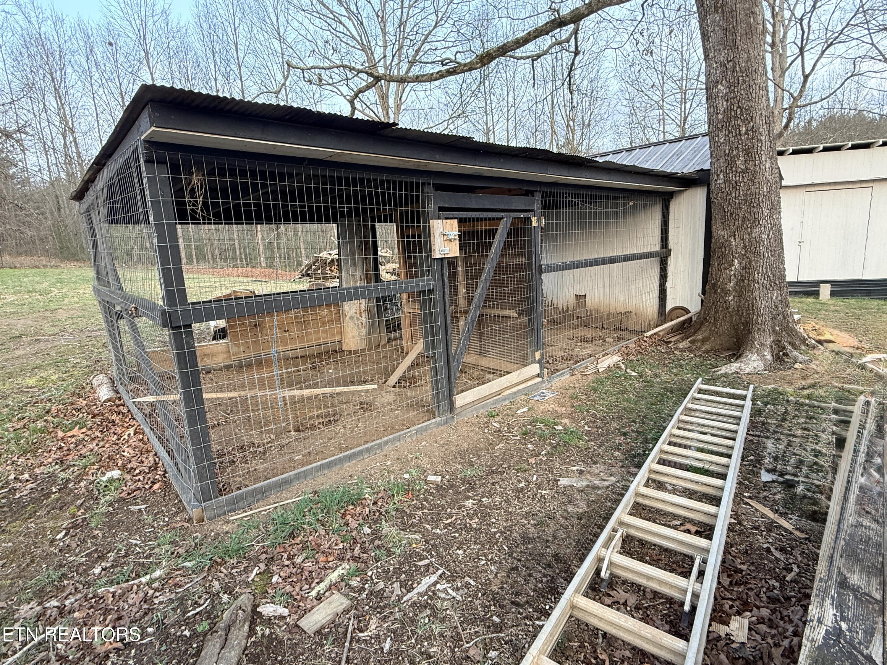 586 Rugby Highway Robbins, TN 37852 - Photo 52 of 59 IMG_5748