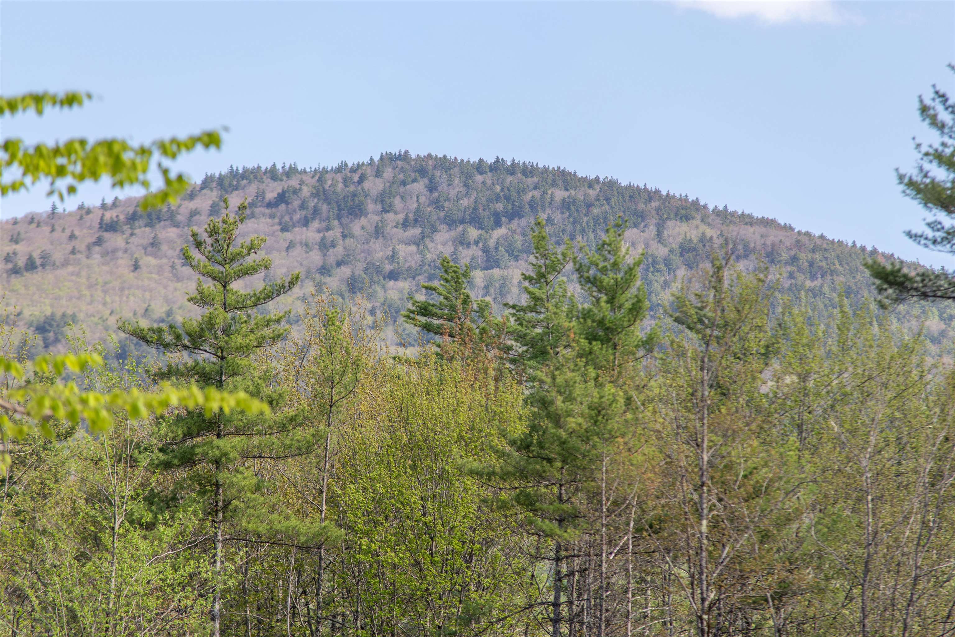 0 Elijah Beede Road Sandwich, NH 03227 - Photo 11 of 28