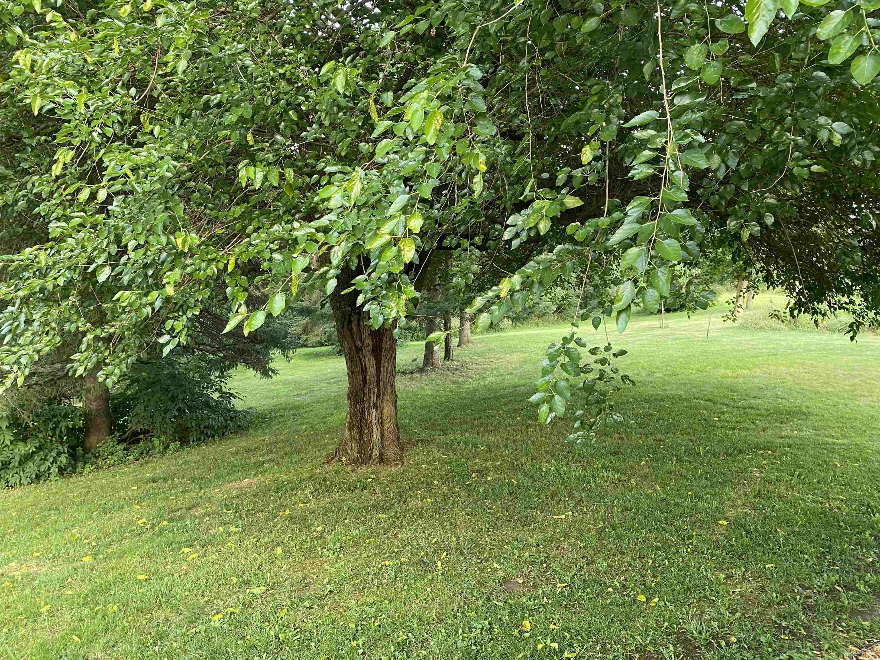 5245 North Lake Road Columbiaville, MI 48421 - Photo 44 of 83 Gallery Image 44