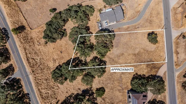 a view of a balcony with a tree