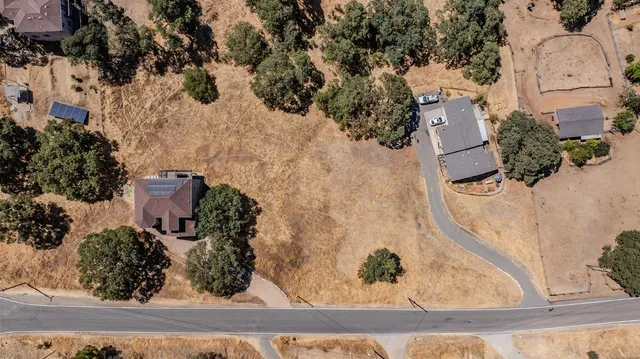 a view of a lot of flowers in yard