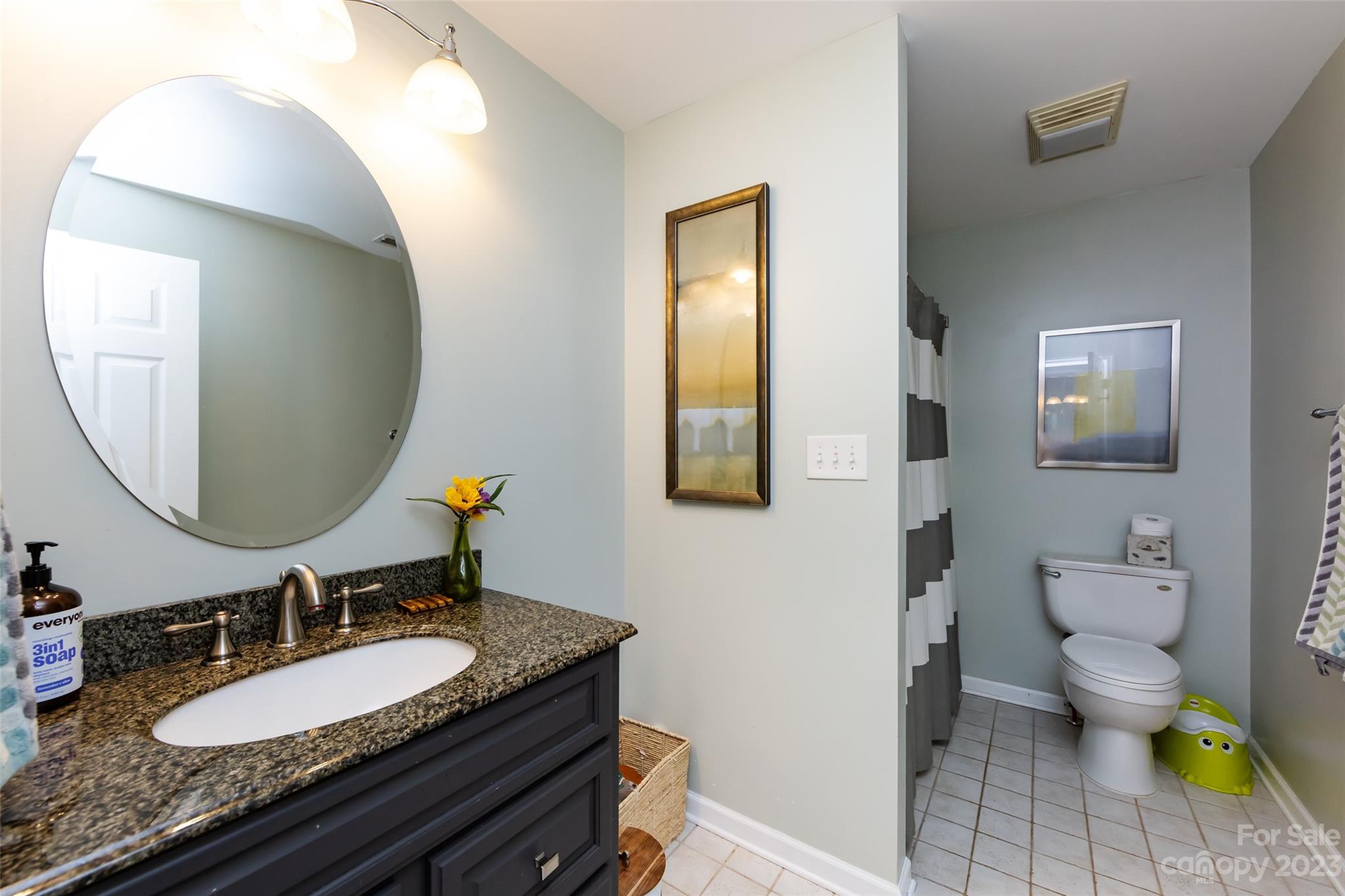9441 Man O War Road Indian Land, SC 29707 - Photo 33 of 45 a bathroom with a granite countertop toilet a sink and a mirror