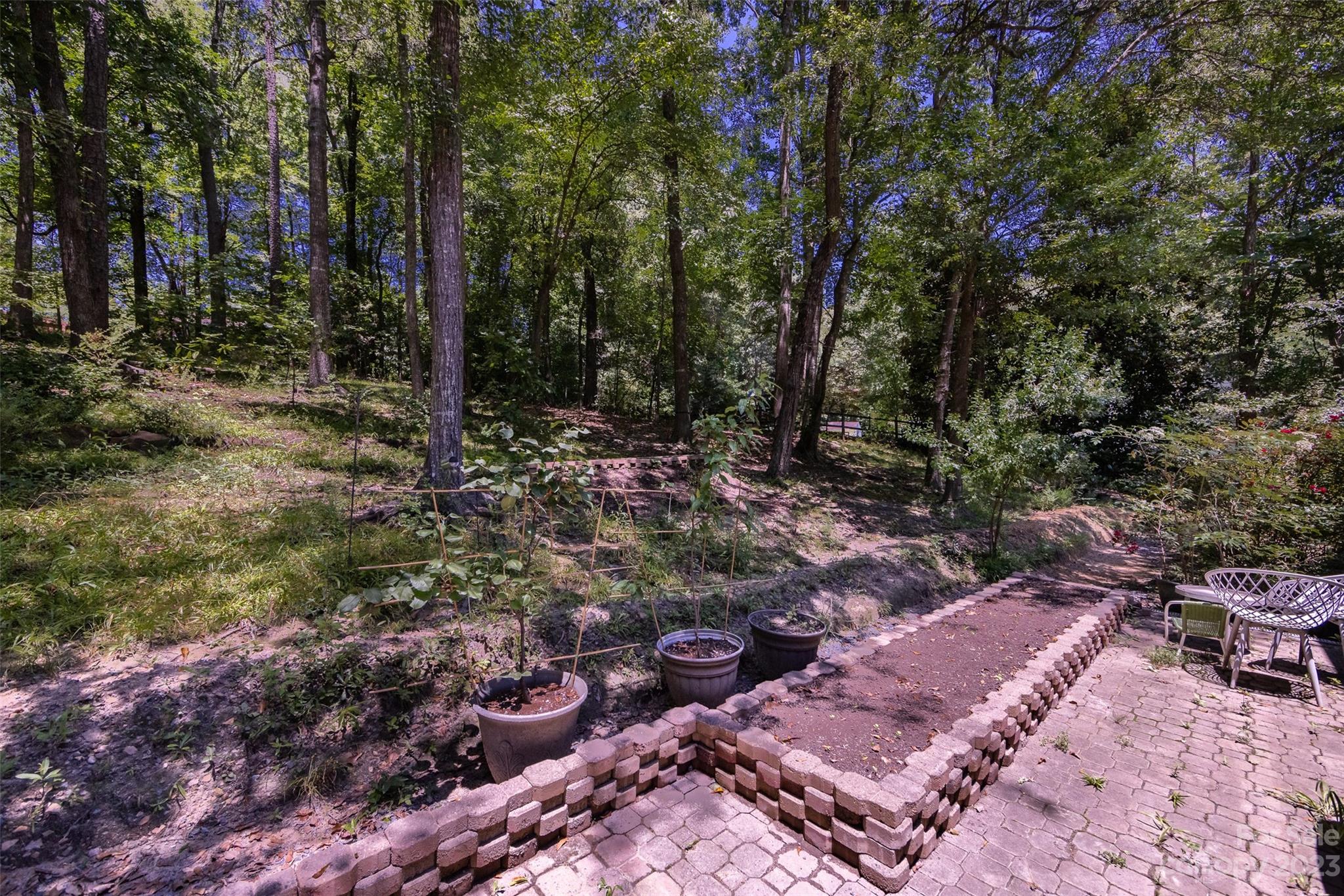 9441 Man O War Road Indian Land, SC 29707 - Photo 38 of 45 a view of backyard with green space