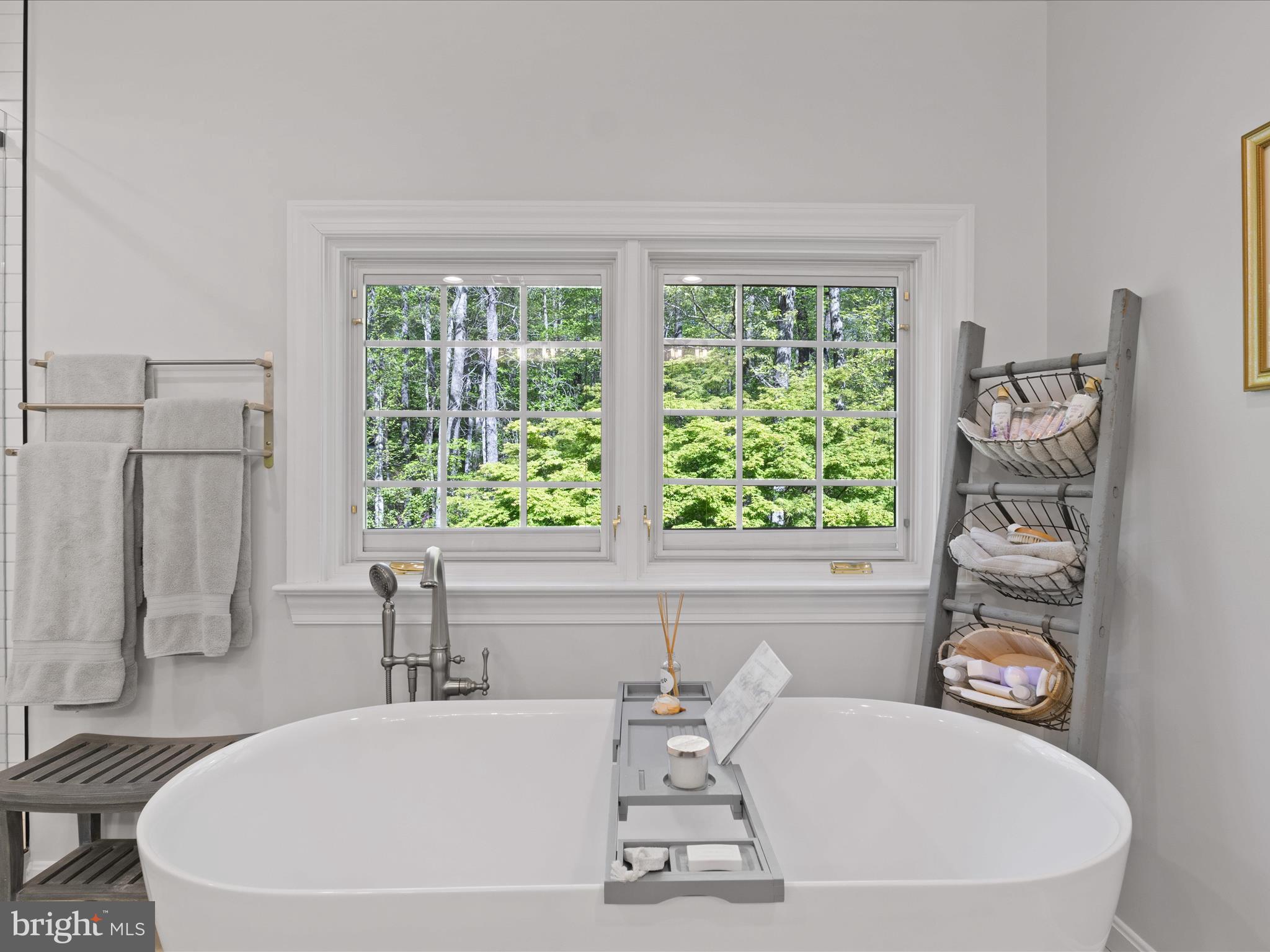 6615 Newman Road Clifton, VA 20124 - Photo 42 of 100 Luxurious Primary Bathroom
