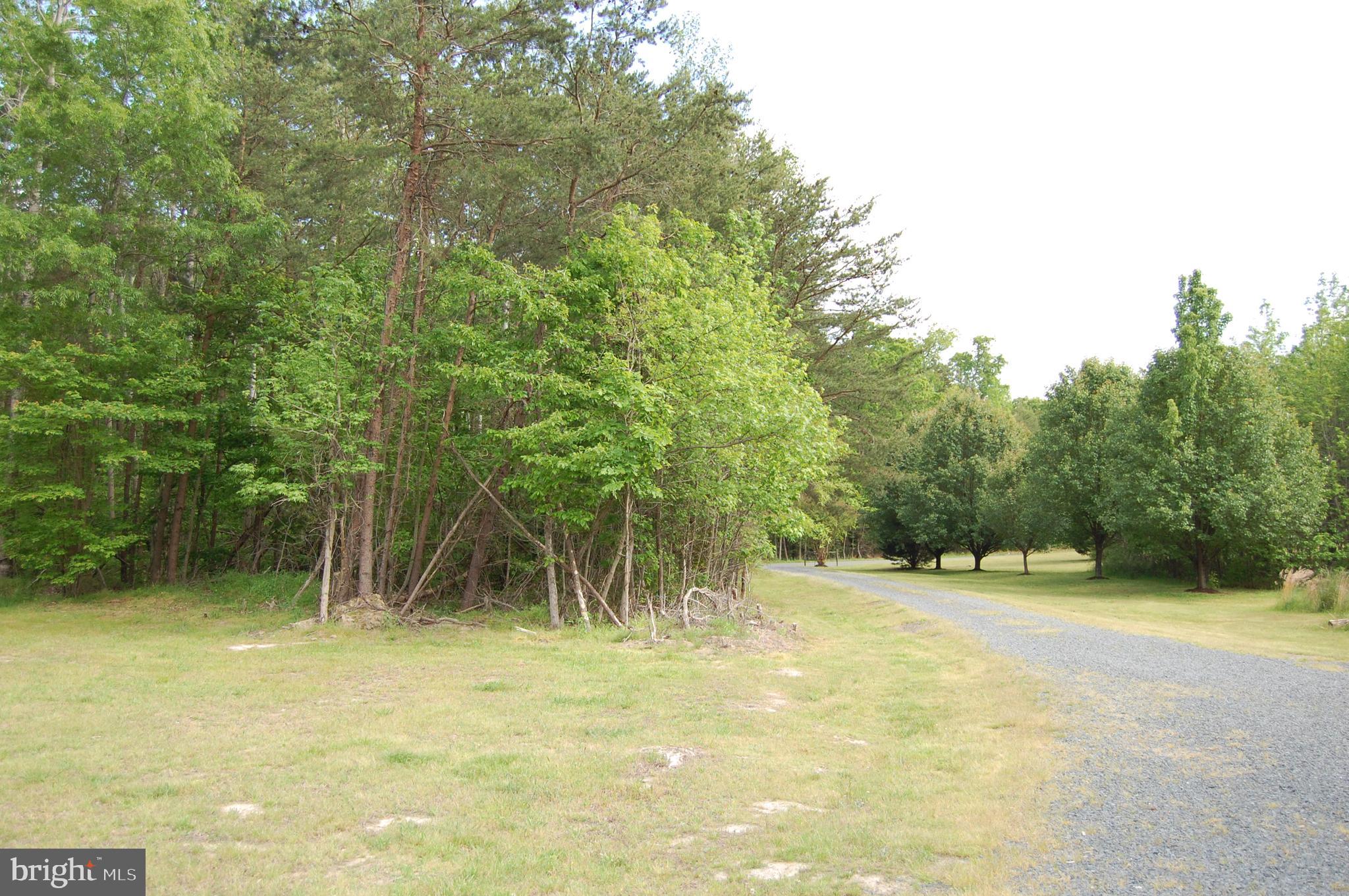 601 Bumpass Road Bumpass, VA 23024 - Photo 34 of 44