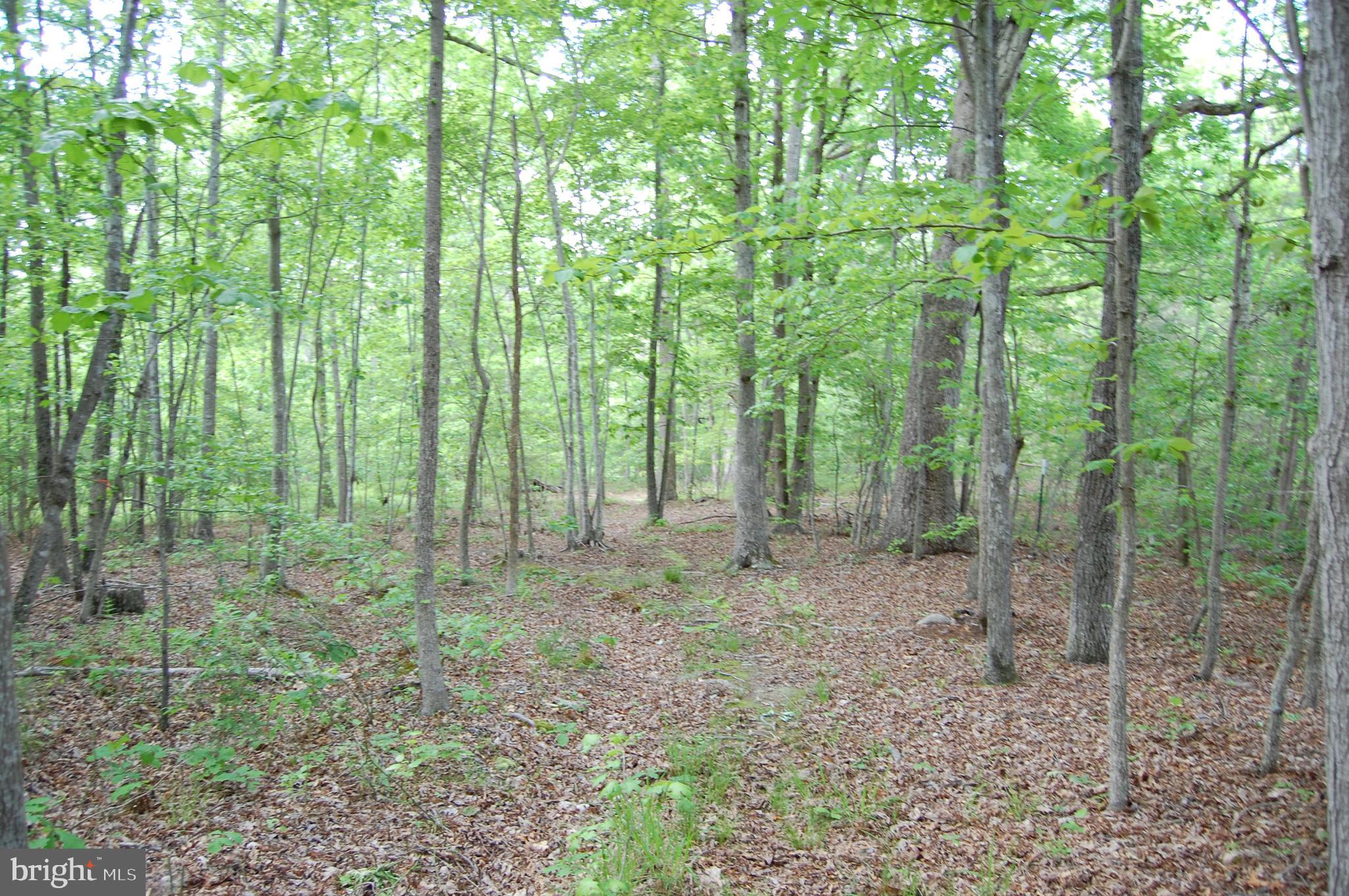 601 Bumpass Road Bumpass, VA 23024 - Photo 37 of 44