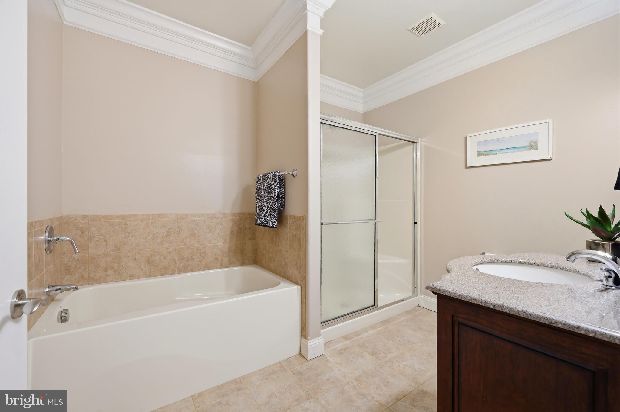 351 Wye Road Queenstown, MD 21658 - Photo 67 of 92 Bathroom two