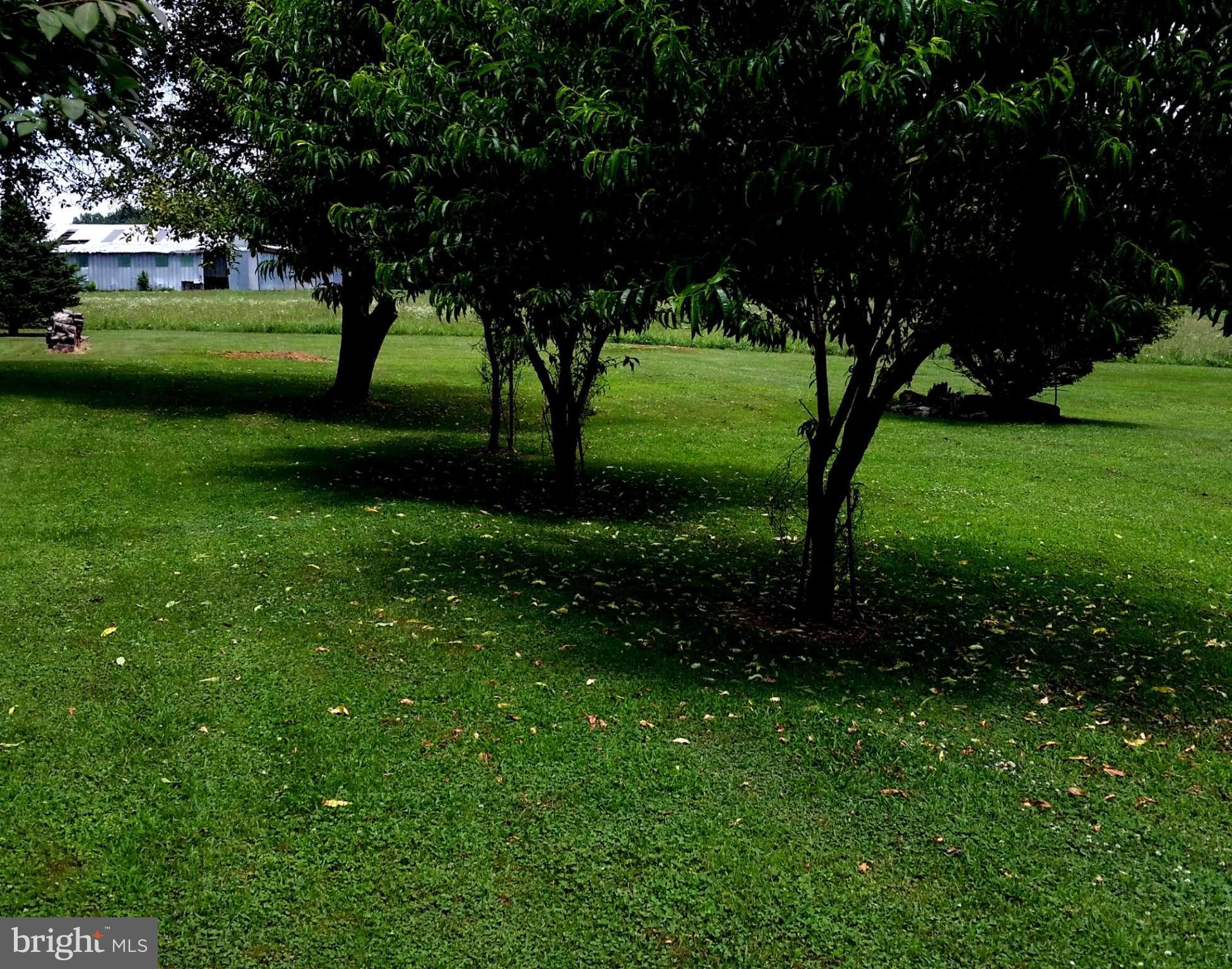 7227 Morgan Road Woodbine, MD 21797 - Photo 25 of 29 a view of green field