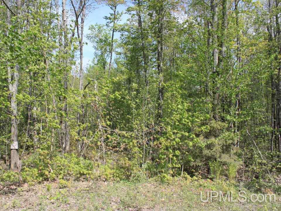 Tbd Emily Lake Road Toivola, MI 49965 - Photo 9 of 36 Gallery Image 9