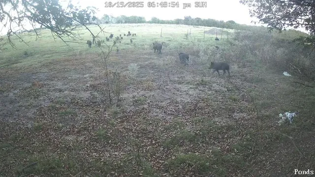 a view of an ocean beach