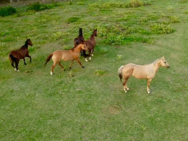 a view of an ocean from a mountain