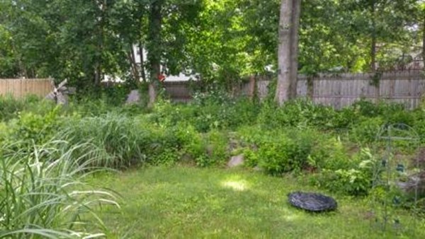 181 West Allen Ridge Road Springfield, MA 01118 - Photo 19 of 20