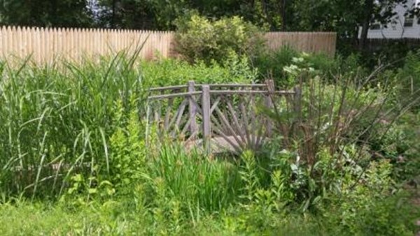 181 West Allen Ridge Road Springfield, MA 01118 - Photo 20 of 20
