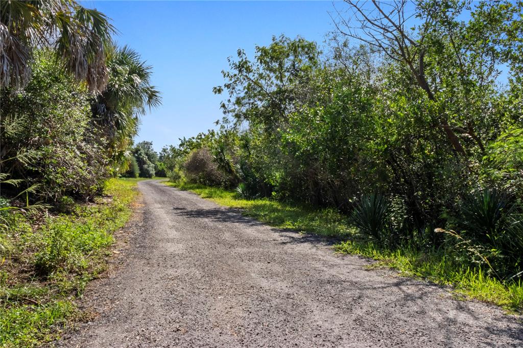 7325 Holly Road Terra Ceia, FL 34250 - Photo 78 of 87 a view of a dirt road with trees in the background