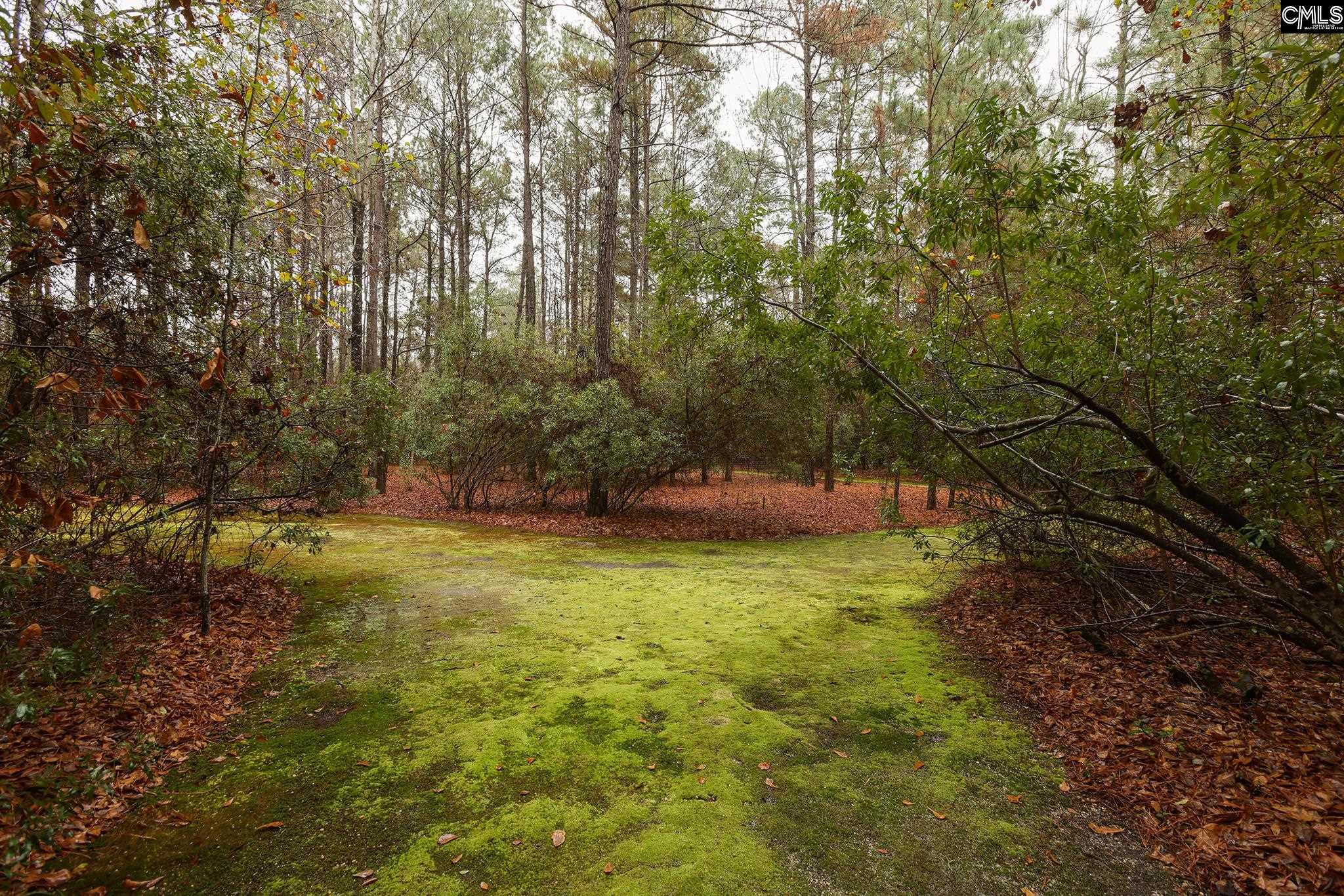 6447 Neeses Highway Neeses, SC 29107 - Photo 67 of 95