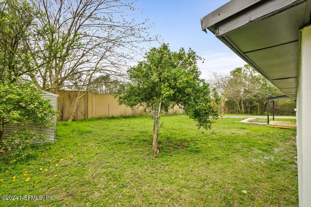 8264 Devoe Street Jacksonville, FL 32220 - Photo 24 of 24 a backyard of a house with plants and large tree